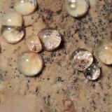 Melanophlogite<br />Fortullino, Rosignano Marittimo, Livorno Province, Tuscany, Italy<br />42,8 x 31,7 mm<br /> (Author: Sante Celiberti)