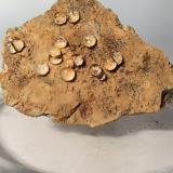 Melanophlogite<br />Fortullino, Rosignano Marittimo, Livorno Province, Tuscany, Italy<br />42,8 x 31,7<br /> (Author: Sante Celiberti)