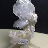 Baryte, Pyrite, Calcite<br />Niccioleta Mine, Massa Marittima, Grosseto Province, Tuscany, Italy<br />55 x 30 mm<br /> (Author: Sante Celiberti)