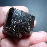 Dravita (Grupo Turmalina)<br />Yinnietharra Station, Yinnietharra, Condado Upper Gascoyne, Australia Occidental, Australia<br />5 x 4 cm.<br /> (Autor: javier ruiz martin)