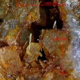 Piromorfita y Fluorita.<br />Minas Can Magre, Vidreres, Comarca La Selva, Gerona / Girona, Cataluña / Catalunya, España<br />2´321 x 1´629 mm.<br /> (Autor: Jesus Franquesa Baucells)
