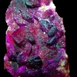 Calcita (variedad cobaltífera)Distrito Kolwezi, Lualaba, Cinturón de cobre de Katanga, Katanga (Shaba), República Democrática del Congo (Zaire)65x35 mm. (Autor: Jesus Franquesa Baucells)
