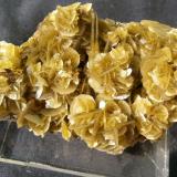 Siderite on ChalcopyriteMina Kaiwu, Hezhang, Prefectura Bijie, Provincia Guizhou, China7 x 4 cm (Author: Volkmar Stingl)