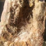 Aragonite<br />Hörndlinger Graben, Hochfilzen, Kitzbühel District, North Tyrol, Tyrol/Tirol, Austria<br />4 x 3,5 cm<br /> (Author: Volkmar Stingl)