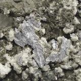 Tellurium on Quartz<br />Emperor Mine, Vatukoula, Tavua, Viti Levu Island, Fiji<br />Main crystal size: 1.4 × 0.3 cm<br /> (Author: Jordi Fabre)
