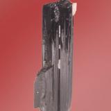 SchorlDepartamento Santander, Colombia20mm x 64mm x 7mm (Author: Firmo Espinar)