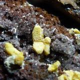 Mimetita, CalcitaPreguiça Mine, Sobral da Adiça, Moura, Beja District, Baixo Alentejo, Alentejo, Portugal4 x 4 cm. la pieza, 0,2 cm. el cristal mayor (Autor: javier ruiz martin)