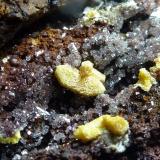Mimetita, CalcitaPreguiça Mine, Sobral da Adiça, Moura, Beja District, Baixo Alentejo, Alentejo, Portugal4 x 4 cm. la pieza, 0,2 cm. el cristal mayor (Autor: javier ruiz martin)