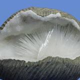 Natrolita<br />Chandwad, Distrito Nashik (Nasik), Maharashtra, India<br />70x50 mm<br /> (Autor: Ramon A  Lopez Garcia)
