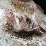 Aragonite<br />Hörndlinger Graben, Hochfilzen, Kitzbühel District, North Tyrol, Tyrol/Tirol, Austria<br />10 x 7 cm<br /> (Author: Volkmar Stingl)