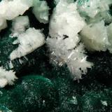 Cerussite on Malachite<br />Palabanda, M'Fouati District, Bouenza Department, Republic of the Congo<br />5.6 cm x 7.0 cm<br /> (Author: Michael Shaw)