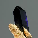 Azurita<br />Touissit, Distrito Touissit, Provincia Jerada, Región Oriental, Marruecos<br />cristal 10x30 mm<br /> (Autor: Ramon A  Lopez Garcia)