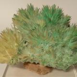 Gypsum, Chrysocolla inclusions<br />Boccheggiano Mines, Montieri, Grosseto Province, Tuscany, Italy<br />10 x 9 cm<br /> (Author: Sante Celiberti)