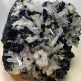 Ilvaite, Quartz<br />Campiglia Marittima, Campigliese, Livorno Province, Toscana, Italy<br />13 x 12 cm<br /> (Author: Sante Celiberti)