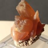 Calcite<br />Sovanella Quarry, Sovana, Sorano, Grosseto Province, Tuscany, Italy<br />28 x 24 mm<br /> (Author: Sante Celiberti)