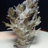 Aragonite<br />La Selva Mine, Casal di Pari, Civitella-Paganico, Grosseto Province, Tuscany, Italy<br />14 x 9,5 cm<br /> (Author: Sante Celiberti)