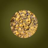 Mimetite<br />María Josefa Mine, Rodalquilar, Níjar, Comarca Metropolitana de Almería, Almería, Andalusia, Spain<br />FOV 4mm<br /> (Author: Firmo Espinar)