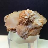 Baryte, Quartz<br />Argentiera di Sant'Anna Mines, Sant'Anna (Sant'Anna di Stazzema), Apuan Alps, Stazzema Municipality, Lucca Province, Tuscany, Italy<br />55 x 33 mm<br /> (Author: Sante Celiberti)
