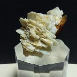 Baryte, Galena, Siderite<br />Argentiera di Sant'Anna Mines, Sant'Anna (Sant'Anna di Stazzema), Apuan Alps, Stazzema Municipality, Lucca Province, Tuscany, Italy<br />42 x 37 mm<br /> (Author: Sante Celiberti)