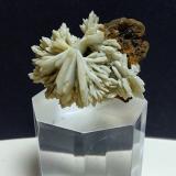Baryte, Galena, Siderite<br />Argentiera di Sant'Anna Mines, Sant'Anna (Sant'Anna di Stazzema), Apuan Alps, Stazzema Municipality, Lucca Province, Tuscany, Italy<br />42 x 37 mm<br /> (Author: Sante Celiberti)