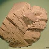 Ortoclasa<br />Diques de pórfido granítico de El Picachuelo, Plutón de La Cabrera, Embalse de El Atazar, El Berrueco, Comarca Sierra Norte, Comunidad de Madrid, España<br />6 x 7 cm<br /> (Autor: Joan Niella)
