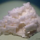 Halita<br />Salinas de La Olmeda, La Olmeda de Jadraque, Comarca Sierra Norte de Guadalajara, Guadalajara, Castilla-La Mancha, España<br />9 x 8 cm<br /> (Autor: Joan Niella)