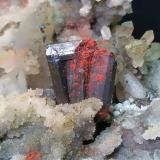 Sibnite, Cinnabar, QuartzMina Pereta, Pereta, Magliano in Toscana, Provincia Grosseto, Toscana, Italia13,5 x 8 cm (Author: Sante Celiberti)