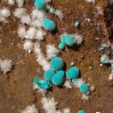 Rosasite, Hemimorphite<br />Campiglia Marittima, Campigliese, Livorno Province, Toscana, Italy<br />9,5 x 5 cm<br /> (Author: Sante Celiberti)