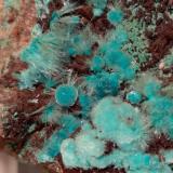 Aurichalcite, Rosasite<br />Campiglia Marittima, Campigliese, Livorno Province, Toscana, Italy<br />10,5 x 6 cm<br /> (Author: Sante Celiberti)