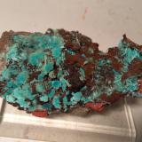 Aurichalcite, Rosasite<br />Campiglia Marittima, Campigliese, Livorno Province, Toscana, Italy<br />10,5 x 6 cm<br /> (Author: Sante Celiberti)