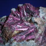 Erythrite2 cm (Author: Bob Carnein)