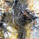 Meneghinite, Boulangerite<br />Bottino Mine, Sant'Anna (Sant'Anna di Stazzema), Apuan Alps, Stazzema Municipality, Lucca Province, Tuscany, Italy<br />20 x 10 cm<br /> (Author: Sante Celiberti)