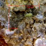 Piromorfita.<br />Minas Can Magre, Vidreres, Comarca La Selva, Gerona / Girona, Cataluña / Catalunya, España<br />1´923 x 1´558 mm.<br /> (Autor: Jesus Franquesa Baucells)