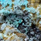Hemimorphite, Aurichalcite<br />Campiglia Marittima, Campigliese, Livorno Province, Toscana, Italy<br />31 x 25 cm<br /> (Author: Sante Celiberti)