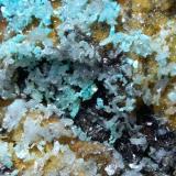 Hemimorphite, AurichalciteCampiglia Marittima, Campigliese, Livorno Province, Toscana, Italy31 x 25 cm (Author: Sante Celiberti)