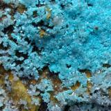 Hemimorphite, Aurichalcite<br />Campiglia Marittima, Campigliese, Livorno Province, Toscana, Italy<br />31 x 25 cm<br /> (Author: Sante Celiberti)