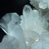 CelestinaConcesión Minerama II, Urbanización Puente Tablas, Jaén ciudad, Jaén, Comarca Metropolitana de Jaén, Andalucía, España15 x 7 cm. (Autor: javier ruiz martin)