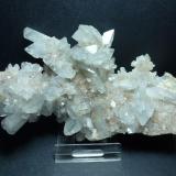 CelestinaConcesión Minerama II, Urbanización Puente Tablas, Jaén ciudad, Jaén, Comarca Metropolitana de Jaén, Andalucía, España15 x 7 cm. (Autor: javier ruiz martin)