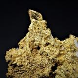 Gold<br />Eagle's Nest Mine, Sage Hill, Michigan Bluff District, Placer County, California, USA<br />77 mm x  53 mm<br /> (Author: Don Lum)