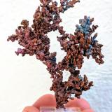 CobreBou Nahas Mine, Oumjrane mining area, Alnif Commune, Tinghir Province, Drâa-Tafilalet Region, Morocco5,6 x 6,7 cm (Autor: Carles)