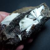 Celestina, SideritaMina Quien Tal Pensara (Mina Rica), El Pilar de Jaravía, Pulpí, Comarca Levante Almeriense, Almería, Andalucía, España12 x 7 cm. (Autor: javier ruiz martin)
