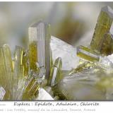 Epidote with Orthoclase (variety adularia) and Chlorite<br />Col de la Madeleine, La Lauzière Massif, Saint-Jean-de-Maurienne, Savoie, Auvergne-Rhône-Alpes, France<br />fov 7.2 mm<br /> (Author: ploum)