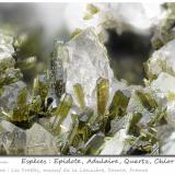 Epidote with Quartz, Orthoclase (variety adularia) and Chlorite<br />Col de la Madeleine, La Lauzière Massif, Saint-Jean-de-Maurienne, Savoie, Auvergne-Rhône-Alpes, France<br />fov 15 mm<br /> (Author: ploum)