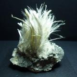 HalotriquitaBenahadux Mines, La Partala, Benahadux, Comarca Metropolitana de Almería, Almería, Andalusia, Spain5,5 x 4,5 cm. (Autor: javier ruiz martin)