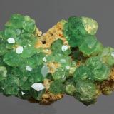 Andradita (variedad demantoide) (Grupo Granate)<br />Distrito Ambanja, Provincia Antsiranana, Madagascar<br />50x40mm<br /> (Autor: Ramon A  Lopez Garcia)