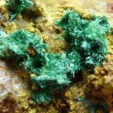 MalaquitaSol Mine, Cerro de los Guardias, Rodalquilar, Níjar, Comarca Metropolitana de Almería, Almería, Andalusia, Spain6 x 4 cm. la pieza (Autor: javier ruiz martin)