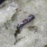 Carducciite, Argentotennantite-(Zn), Pyrite<br />Pollone Mine, Valdicastello Carducci, Pietrasanta Municipality, Lucca Province, Tuscany, Italy<br />92 x 48 mm<br /> (Author: Sante Celiberti)