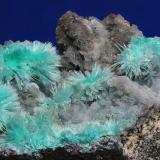 Aurichalcita y Hemimorfita<br />Mina 79, Chilito, Zona Hayden, Distrito Banner, Montes Dripping Spring, Condado Gila, Arizona, USA<br />encuadre 40x30 mm<br /> (Autor: Ramon A  Lopez Garcia)