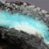 Aurichalcita<br />Mina 79, Chilito, Zona Hayden, Distrito Banner, Montes Dripping Spring, Condado Gila, Arizona, USA<br />encuadre 40x25 mm.<br /> (Autor: Ramon A  Lopez Garcia)