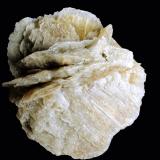 YesoGypsum deposit, Galera, Comarca de Huéscar, Granada, Andalusia, Spain57 x 50 x 46 mm. (Autor: José Luis Zamora)